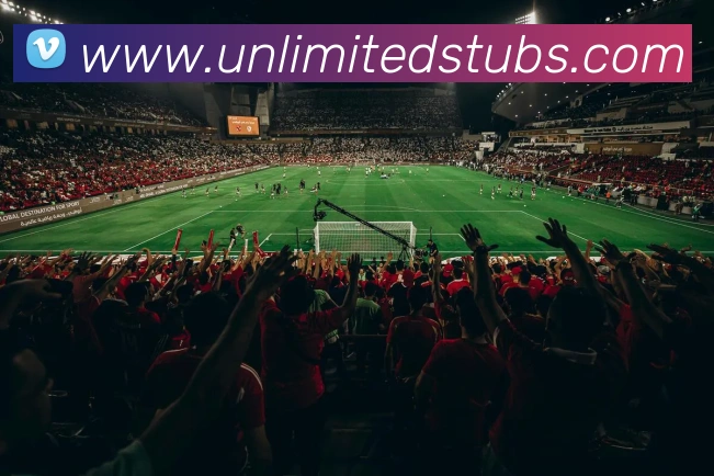体育数据展示