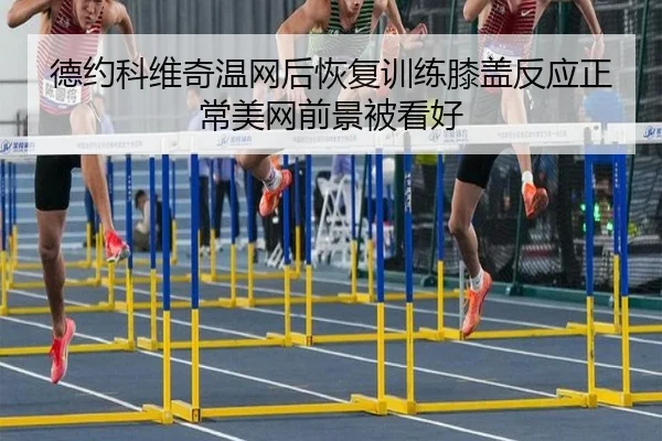 德约科维奇温网后恢复训练膝盖反应正常美网前景被看好