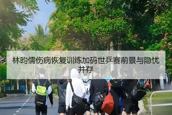 林昀儒伤病恢复训练加码世乒赛前景与隐忧并存